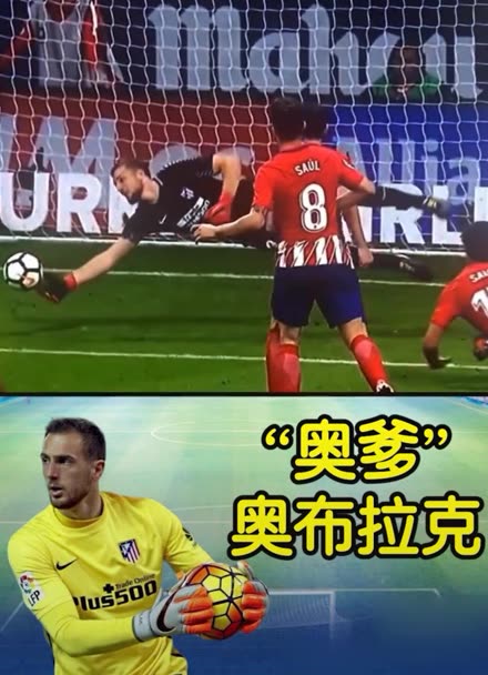 土球员有机 土球员有机